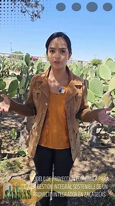 26K views · 187 reactions | #ColegiodePostgraduados 茶Modelo de proyección económica para la gestión integral sostenible de un proyecto integrador en Zacatecas. Estudiante: Sofía Estefanía Ojeda López | La Voz de Salinas tv33 | Facebook