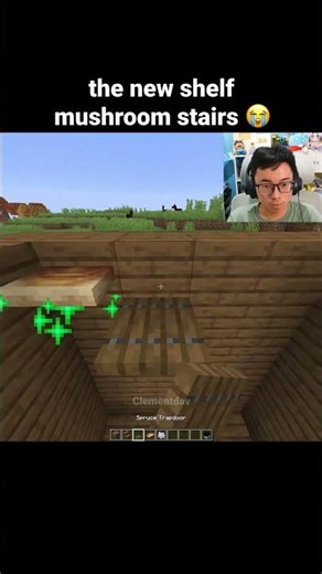 Minecraft Shelf Mushroom Stairs Moment