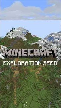 THIS MINECRAFT SEED HAD MULTIPLE VILLAGES AT SPAWN