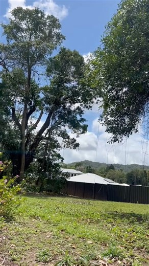 🌳 Is a troublesome tree causing you headaches? Whether it’s a dead tree posing a risk or one that’s just too close for comfort, LTM Trees is here to help! Our expert team ensures a safe and efficient removal process. Don’t wait until it’s too late—contact us today! 📞✨ #TreeRemoval #SafetyFirst #LTMTrees #ArboristCairns #TreeLoppingCairns #TreeServicesCairns #TreeFellingFriday | LTM Trees