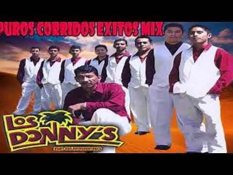 Los Donnys de Guerrero en VIVO Mix Corridos - 2021