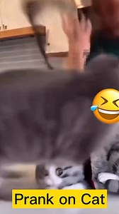 Prank on Cat went wrong...did the cat over react? #followersreelsfypシ゚viralシfypシ゚viralシall #everyoneシ゚ #fypシ゚viralシ #facebookviral #prank #prankvideo #cat #CatLovers | John Chukwuemeka Kingsley