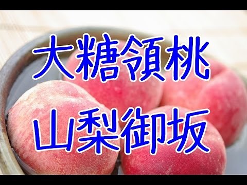 大糖領桃通販 山梨県笛吹御坂産を販売。お中元桃ギフトお取り寄せ 糖度13度以上 Daitouryoumomo Japanese Peach