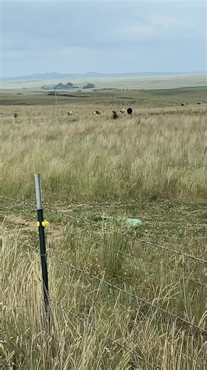 48th Parallel Farms on TikTok