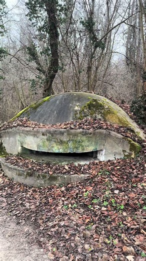 Le long de l’ancien canal Rhône-Rhin, à proximité de Marckolsheim, subsistent encore plusieurs petites casemates en béton, discrètement disséminées le long des berges et des digues. Souvent masquées par la végétation ou partiellement enfouies, elles peuvent facilement passer inaperçues pour qui ne sait pas ce qu’il cherche. Ces ouvrages modestes font pourtant partie intégrante de la Ligne Maginot du Rhin, édifiée à la fin des années 1930 pour renforcer la défense de la frontière orientale de la 