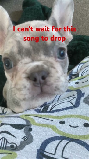 Gumball vs baldi rap battle coming on January #music #theothersideofmakebelieve #freesubscribers