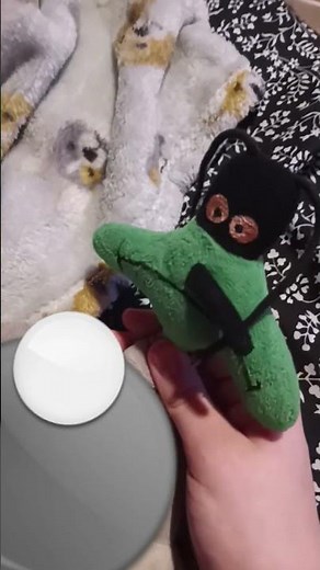 Marky vore in Real Life part 2