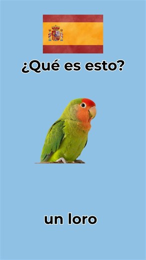 How to say dog, cat and other pets in Spanish