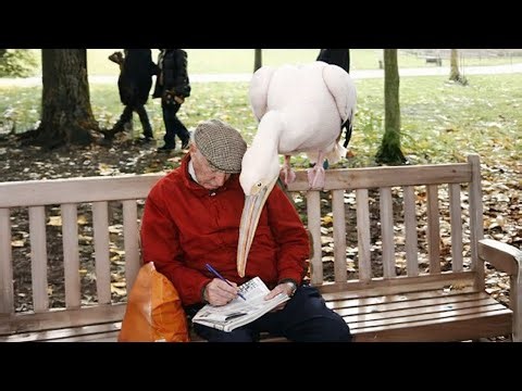 When Animal Distribution System Sends You a Comedian Animal Without Your Permission 😂