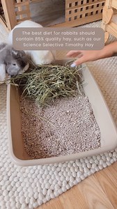 3.1K views · 134 reactions | As crazy as it may seem, rabbits have 28...