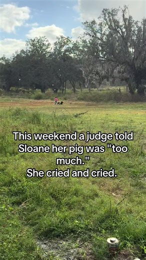 Overcoming Challenges in Pig Showing: A Young Champion's Journey