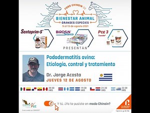 "Pododermatitis ovina: Etiología, control y tratamiento" Impartida por el 👨‍⚕️Dr. Jorge Acosta