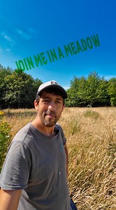 13K views · 885 reactions | Join me for 3 minutes as I walk through a Meadow. | Get Wild | Facebook