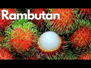Rambutan: The Exotic Fruit You Need to Try!
