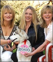 Top award for faithful Husky - Horse & Hound