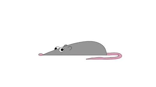 dailyspinningmouse on Instagram: "#animals #funny #mouse #memes #hilarious"