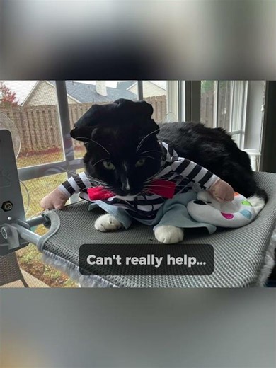 These French artists are surprisingly furry | Funny Dog and Cat Costumes
