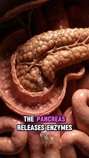 What happened when you eat?