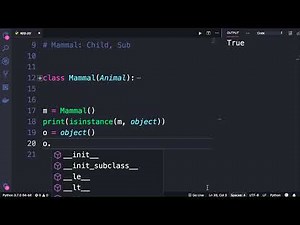 Python #81 - The Object Class [By Mosh Hamedani]