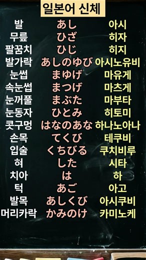 2. 일본어 신체 단어