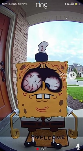 MAD SPONGE #spongebob