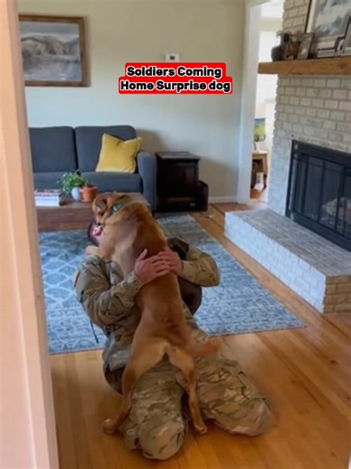 Soldiers Coming Home Surprise dog #dog #soldierscominghome #cutedog #soldiers