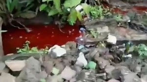 BURUNDI: Night of Violence in Bujumbura Follows Ban's Arrival February 22