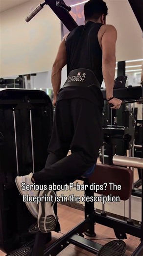 How to do Parallel bar dips | Dips | Chest and triceps workout | weighted parallel bar dips