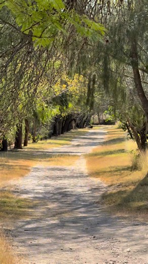 La tranquilidad del parque de Cerritos | Cerritos San Luis Potosí