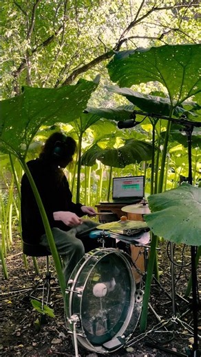 Congi - Somnium #dub #electronic #dubstep #nature #drums