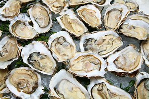 8 Best Sides to Serve with Oysters (Updated 2026)