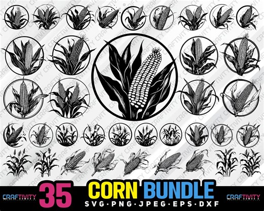 Corn Vector Bundle SVG PNG, Laser Cut Files (digital Download) - Etsy