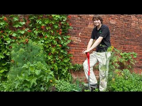 The Victorian Kitchen Garden overview