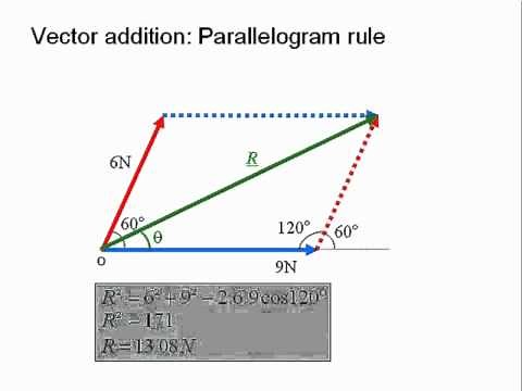 The triangle and parallelogram rule for vector addition