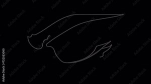 Continuous line animation of abstract eye, woman eye one line art, beautiful woman profile eye.