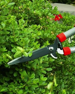 9.6K views · 95 reactions | That’s one smooth cut. Hedge shears meet bypass lopper in this NEW 2-in-1 tool. https://bit.ly/2O6dWI5 | Craftsman | Facebook