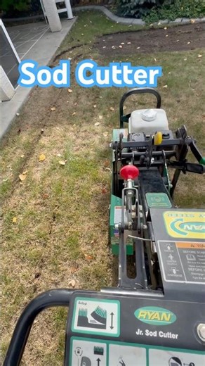 Ever Seen One of These?