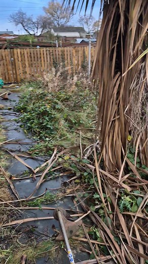 The start of our garden clearout | J.V Handyman & Garden Services | Facebook