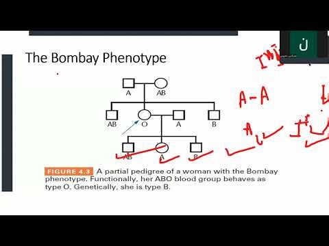 Extension mendelian genetics | Session 6| part 2 |Nagm Al-Din Mahrous