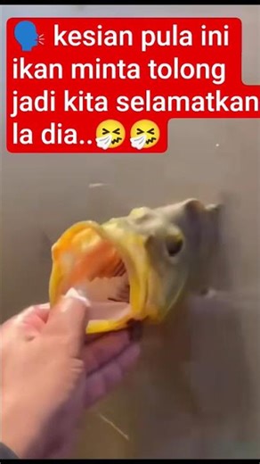 #Shorts, #YouTubeShorts,#Trending, #Viral, #FYP (For You Page),#YouTube, #Subscribers #videoreaction