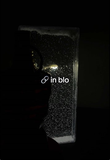 white.lantern on TikTok