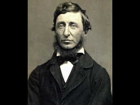 Henry David Thoreau In Our Time BBC Radio 4