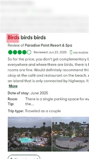 Avitrol on Instagram: "It takes years to build a stellar reputation, but only one aggressive seagull to ruin a guest’s breakfast-and your TripAdvisor score. 📉 We are seeing a rising trend in negative hospitality reviews specifically mentioning pest birds. It’s not just about the noise; it’s about hygiene and safety. Common "Bird Complaints" tanking ratings right now: The Early Wake-up Call: Pigeons cooing on balconies at 5:00 AM. The Al Fresco Disaster: Droppings on outdoor dining tables and po