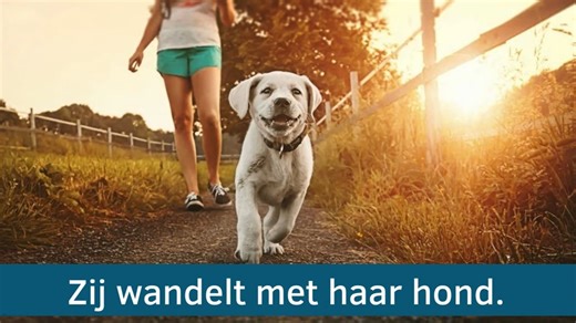 Dutch basics 荷兰语基础A0阶段看图学造句Een dag van Lien