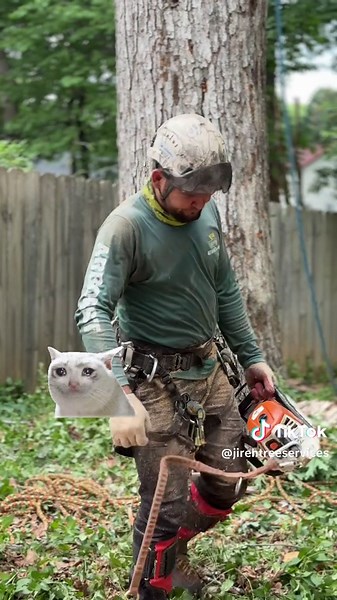 Expert Tree Service and Removal in Atlanta, Georgia