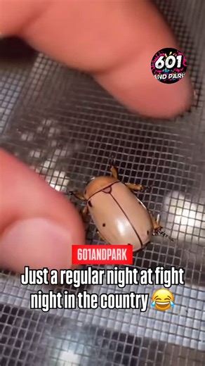 601ANDPARK 📺 Top 10 Countdown on Instagram: "Just a regular night at fight night in the country 😂 When you bored & ain’t got nothing to do this it! #601andpark #mississippi #bugs #viral #reels"