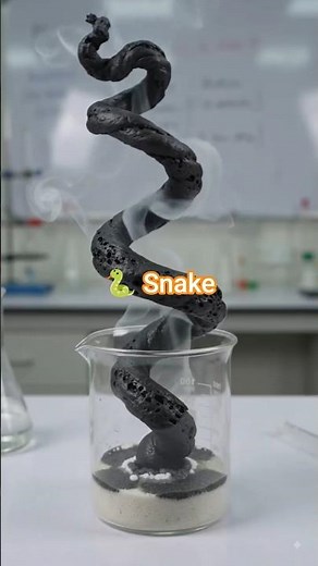 Black Snake Experiment | Sugar + Sand + Heat Amazing Chemistry Reaction