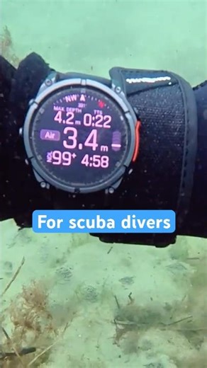 Is the Garmin Fenix 8 the Best Dive Computer for Active Scuba Divers?