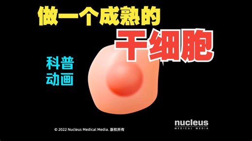 【3D科普动画】干细胞（nucleus科普视频系列）中文
