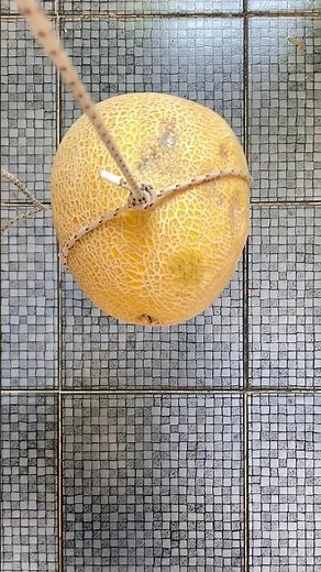 Adjustable Knot You Can Untie in Seconds!